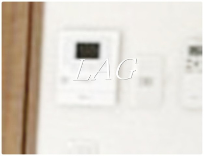 【セキュリティ】 | Lapis東大宮 | モニター付きインターフォンです。