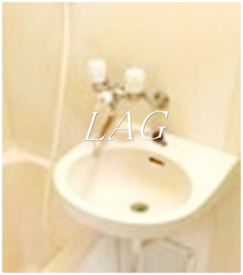 【洗面所】 | フォレストプラザ | 洗面台です。