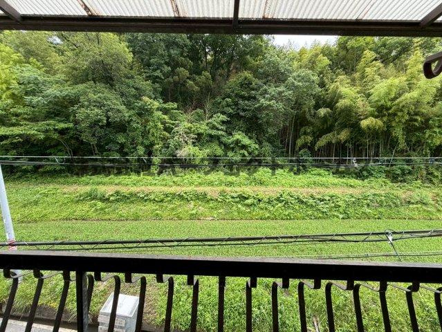 尊延寺6丁目戸建　賃貸の展望