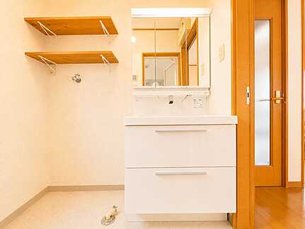 安佐南区東野３丁目の独立洗面台