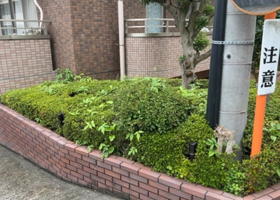 【庭】 | レクシオ大和田 | 物件によっては、入居者が個人的に使用できる専用庭がついているものもあります。また、住宅の中にある土間の部分を庭と呼ぶこともあります。庭の用途は住む人によって変わり、それによってデザインもさまざまです。