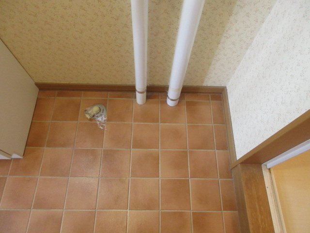 MY HOUSE GOOD RIVERのその他
