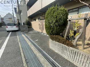 ボヌールのその他