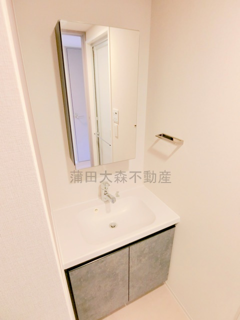 シーズンフラッツ大森北三丁目の洗面所