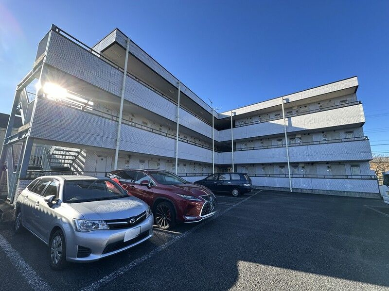 野崎ハイムのその他