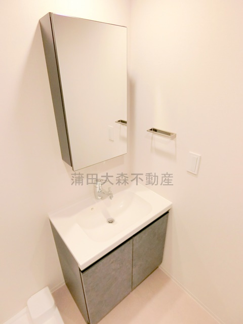 シーズンフラッツ大森北三丁目の洗面所