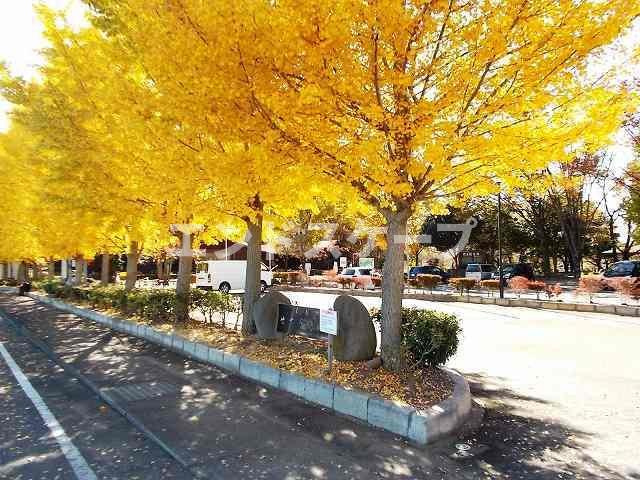 ベル　サンブライトＸの周辺|せせらぎ公園まで1300m
高崎、前橋のお部屋探しはエンドスケープまで！お客様の理想お聞かせ下さい♪