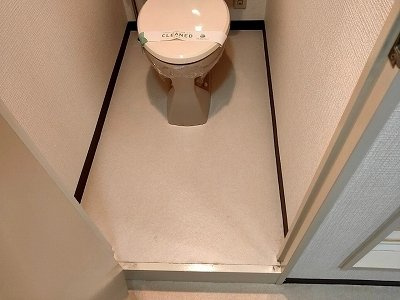 大成ルームズのトイレ