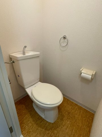 イーストコート沢良宜のトイレ