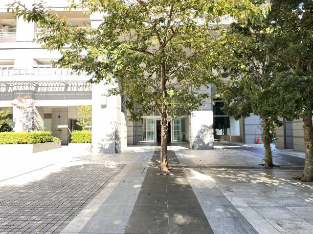 Tomihisa Cross Confort Towerのエントランス|前面道路