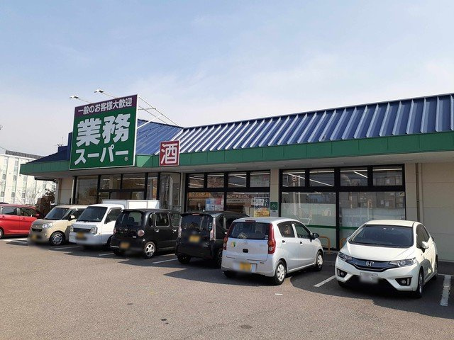 エアリー　カーサＢの周辺|業務スーパー四国中央店まで746m