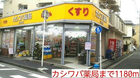 ストレリチア・レギネの周辺|カシワバ薬局まで1180m