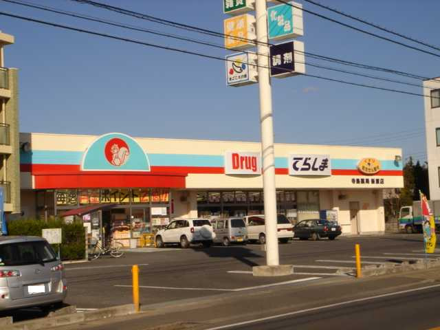 サンフィットあけぼのの周辺|ドラッグてらしま新原店（ドラッグストアー）まで570ｍ