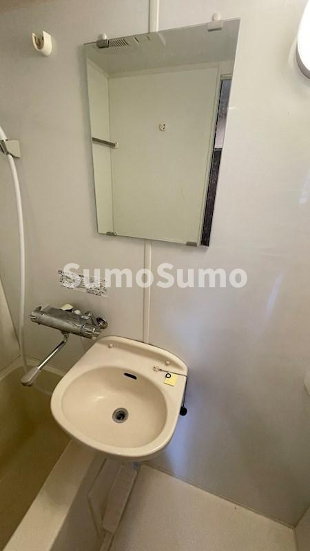 Lasante広尾の洗面所