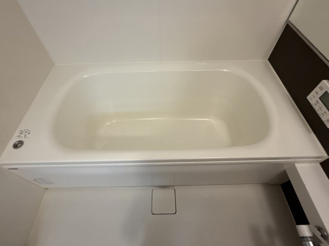 Ｄｒｅａｍ御立東の浴室