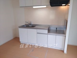 フレイム　雪のキッチン|浄水器一体型シャワー水栓