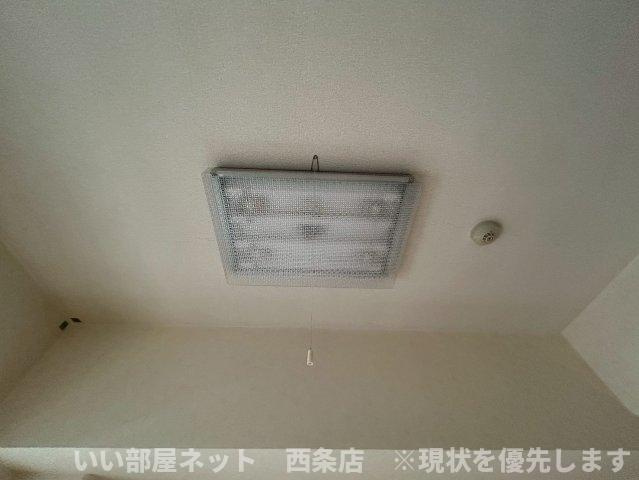 マルイカトレアの設備