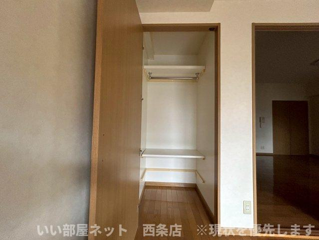 マルイカトレアの収納