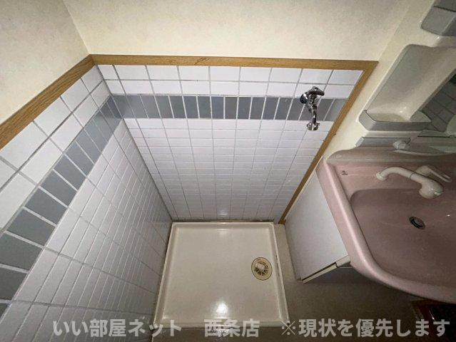 マルイカトレアのその他
