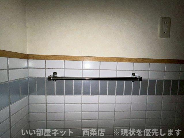 マルイカトレアの洗面所
