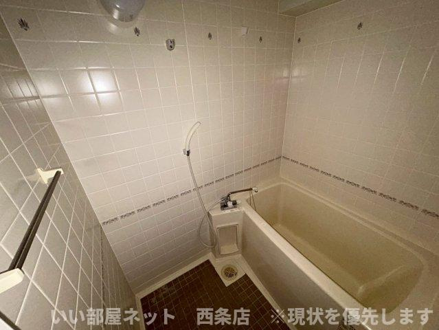 マルイカトレアの浴室