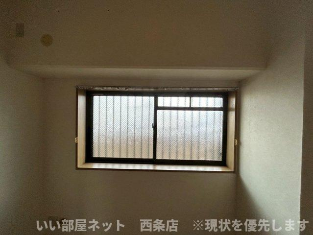 マルイカトレアのその他