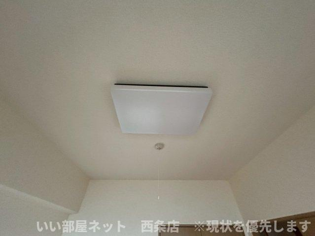 マルイカトレアの設備