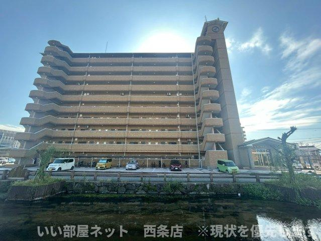 マルイカトレアの外観