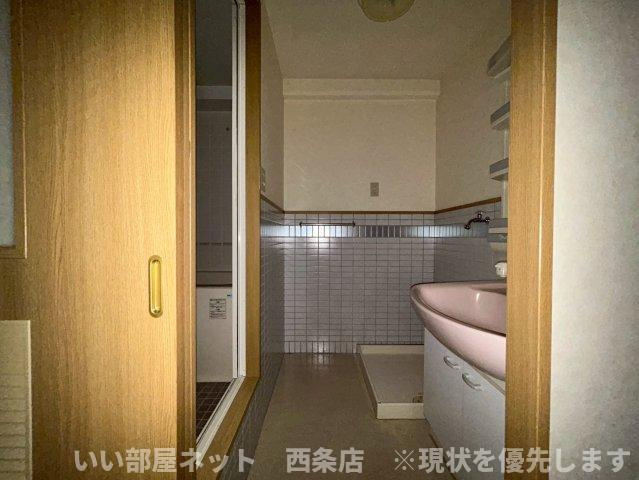 マルイカトレアの洗面所