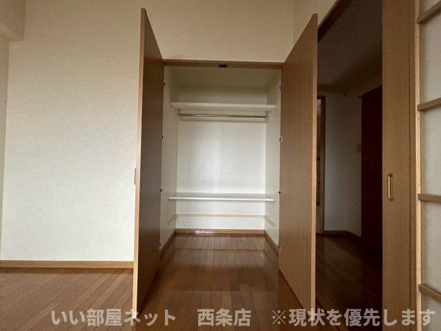 マルイカトレアの収納