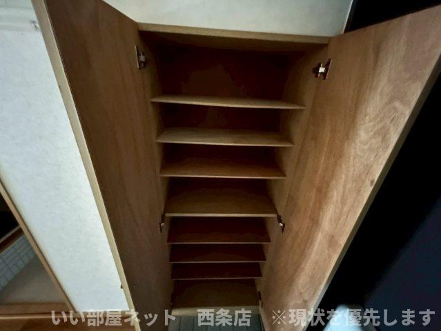 マルイカトレアの収納