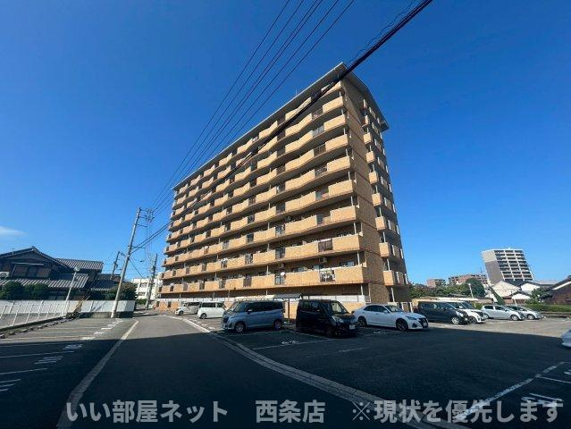 マルイカトレアの外観