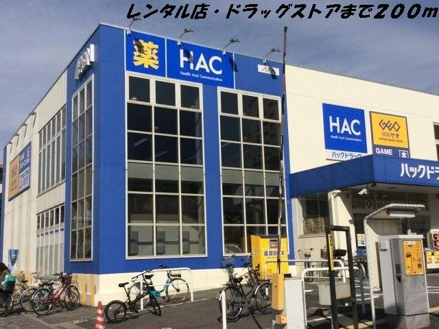 ネオコティ　大宝の周辺