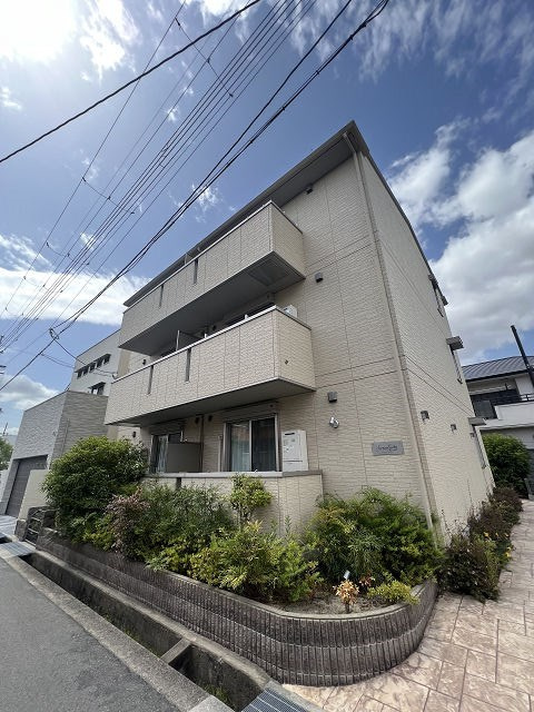 セレンディピティ