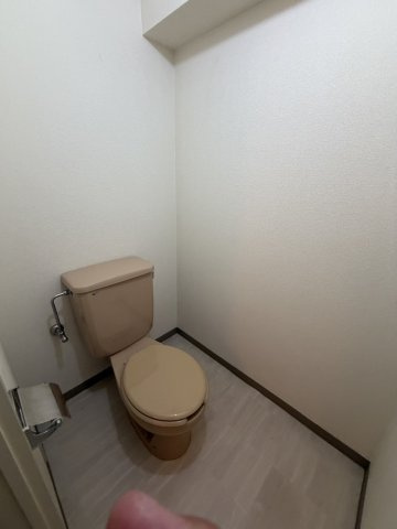アートヴィラのトイレ|写真はイメージです。色仕様は現況優先になります。
