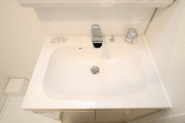 S-RESIDENCE江坂Libleの洗面所