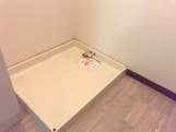 カステルBの洗面所