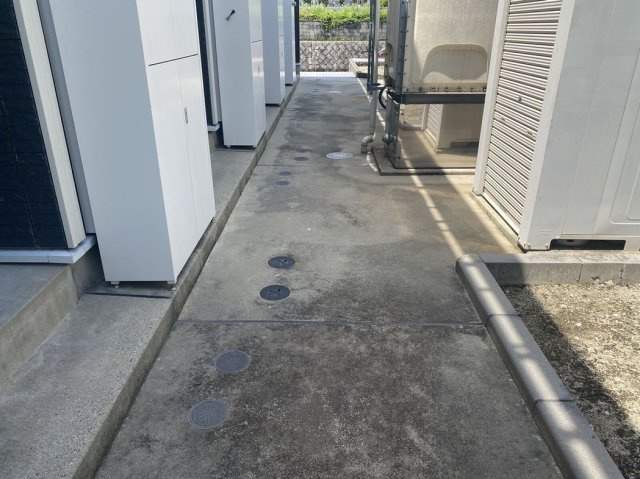 レオネクスト元植田Ｗｅｓｔのその他