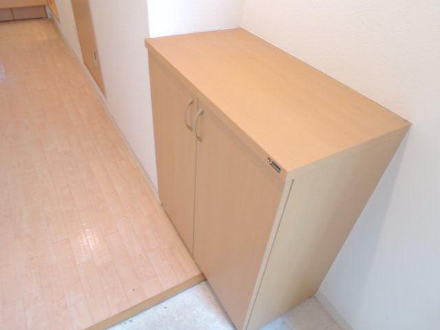 ルーセントベガの収納