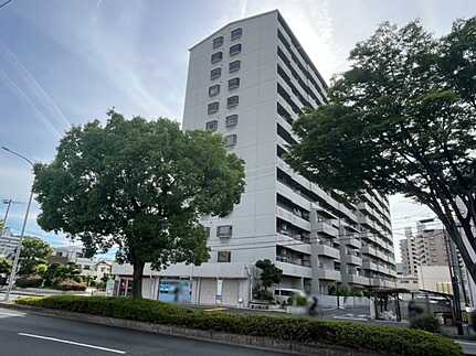 エバーグリーン江波山のその他