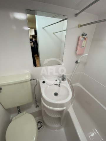 新町ダイアパレスⅡ号館の洗面所|新町ダイアパレスⅡ号館　洗面台