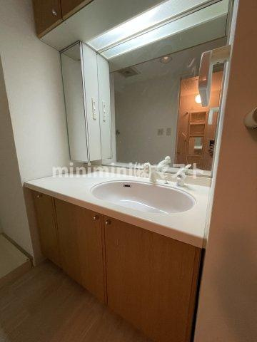 グランドメゾン松屋町の洗面所