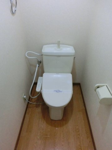 熊本市南区土河原町の賃貸マンションのトイレ
