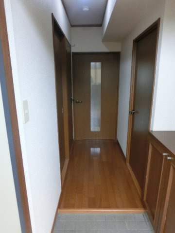 熊本市南区土河原町の賃貸マンションの玄関