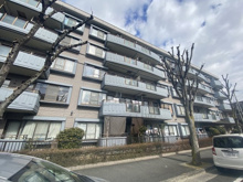 ドルチェ甲子園の画像
