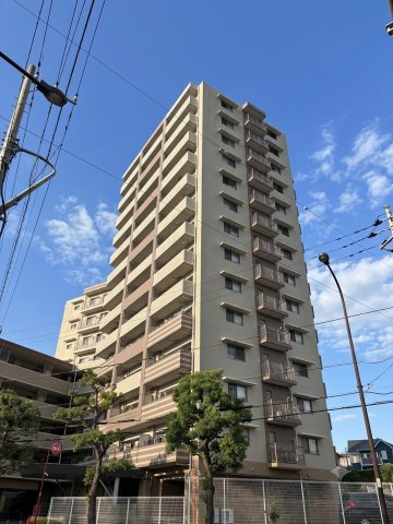 周辺に視界を遮るものがない高層マンションです！