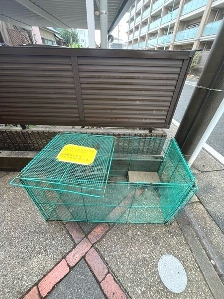 プティ オランジュのその他共用部分