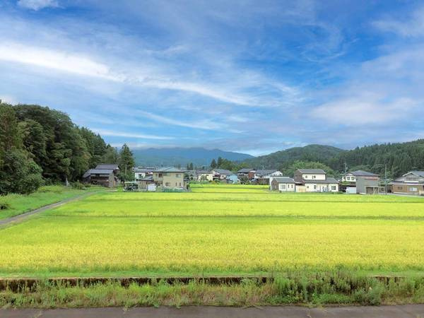 ビレッジハウス八尾3号棟のその他|ビレッジハウスの同一物件・同一タイプの間取りの写真です