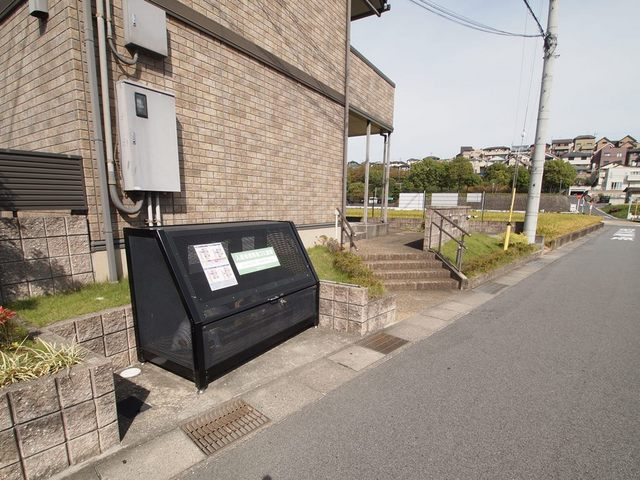 ヴェルデのその他