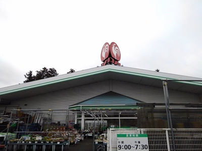 【周辺】 | エレガンシアＡ | コメリ　八千代店まで650m